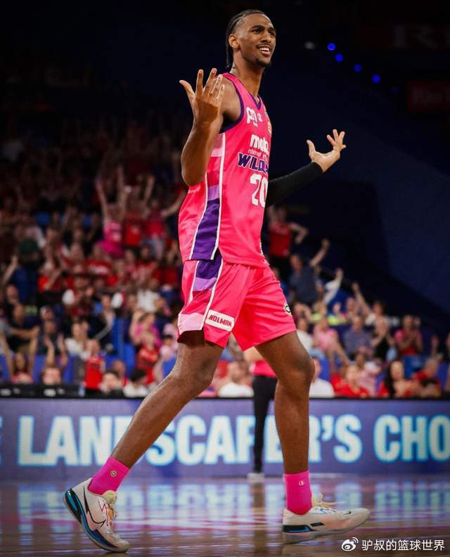 从水货到曙光：萨尔的蜕变之路