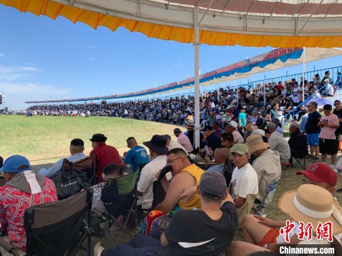 草原搏克赛：传统摔跤技艺与现代竞技文化交融