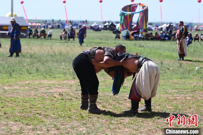 草原搏克赛：传统摔跤技艺与现代竞技文化交融
